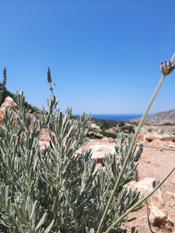 Villa Adeiata Adiata エクステリア 写真
