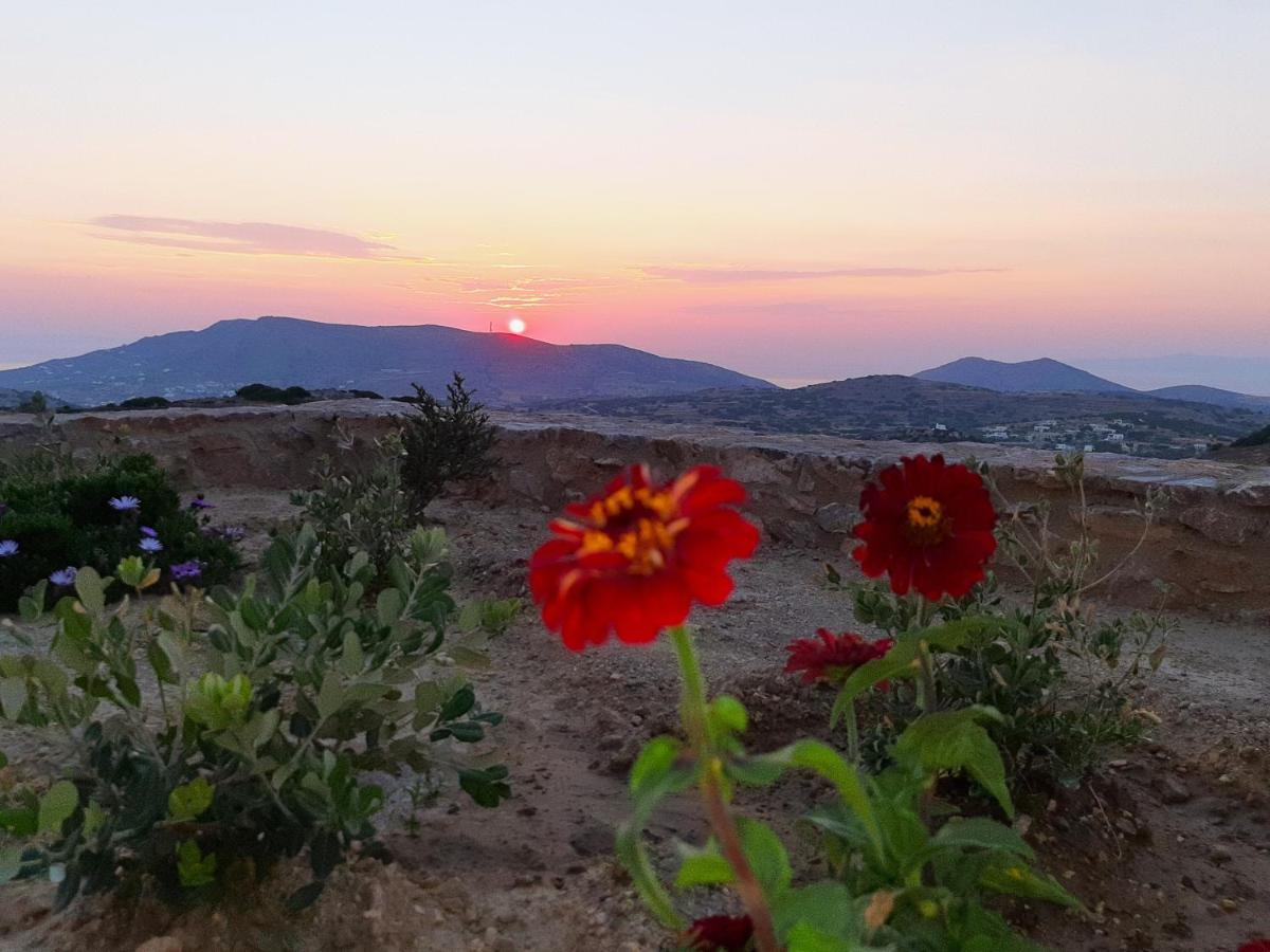 Villa Adeiata Adiata エクステリア 写真