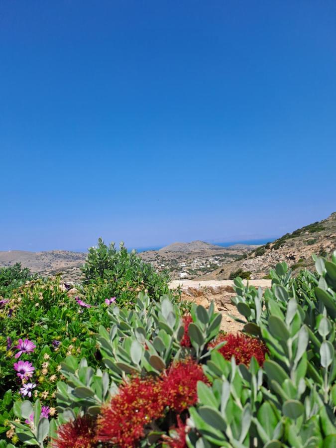 Villa Adeiata Adiata エクステリア 写真